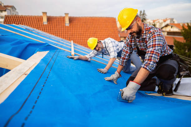 Best Roof Waterproofing Services  in Maben, MS